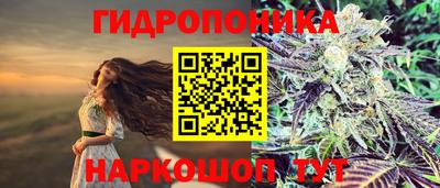spice Белореченск