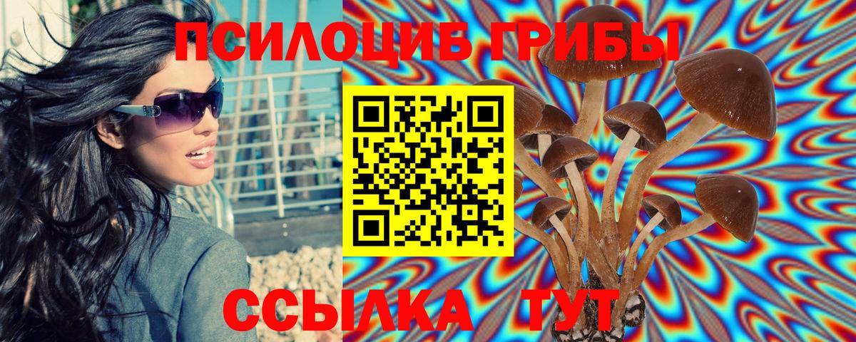 Галлюциногенные грибы прущие грибы Бахчисарай